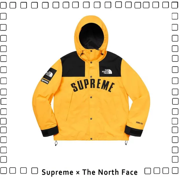 THE NORTH FACE×SUPREME MOUNTAIN PARKA 19SS 男女兼用 ジャケット 5色