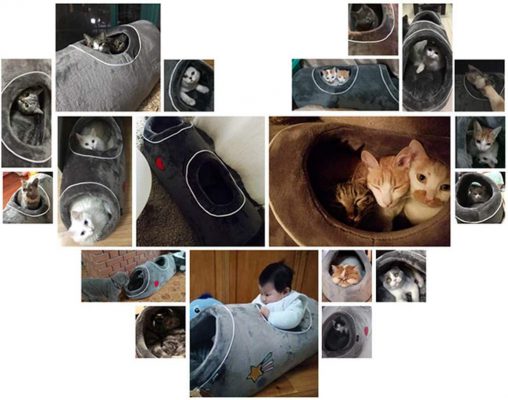 猫小屋 猫ハウス 安全感 隠れ家 トンネル型 クッション付き ネコ キャット – Break The Old